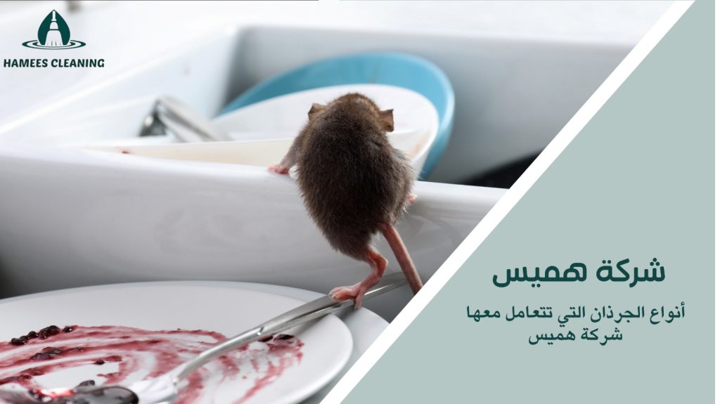 مكافحة الجرذان في قطر