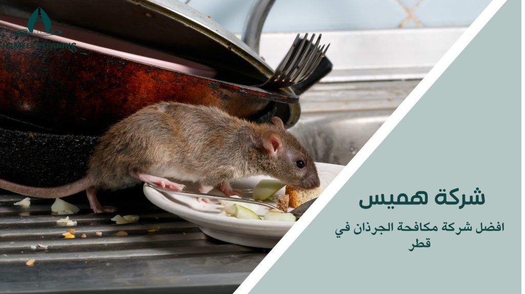 مكافحة الجرذان في قطر