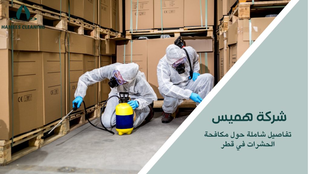 مكافحة حشرات في قطر