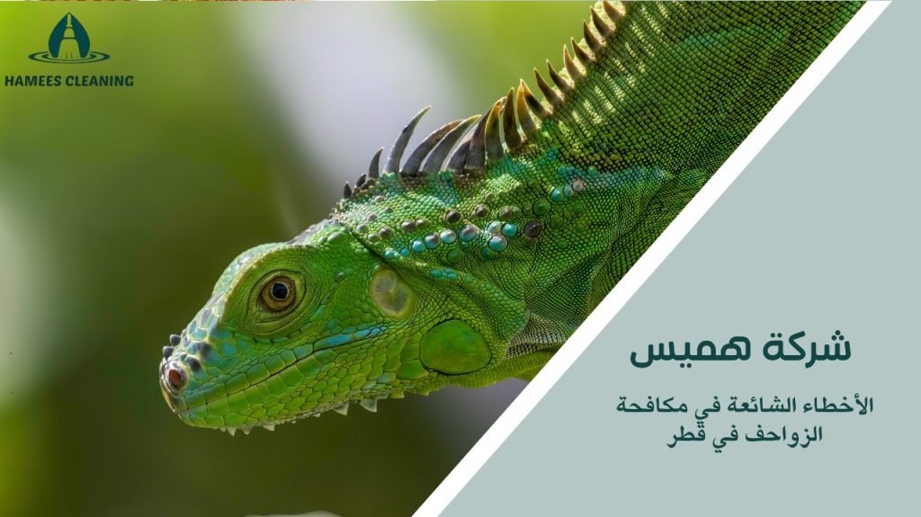 مكافحة الزواحف في قطر