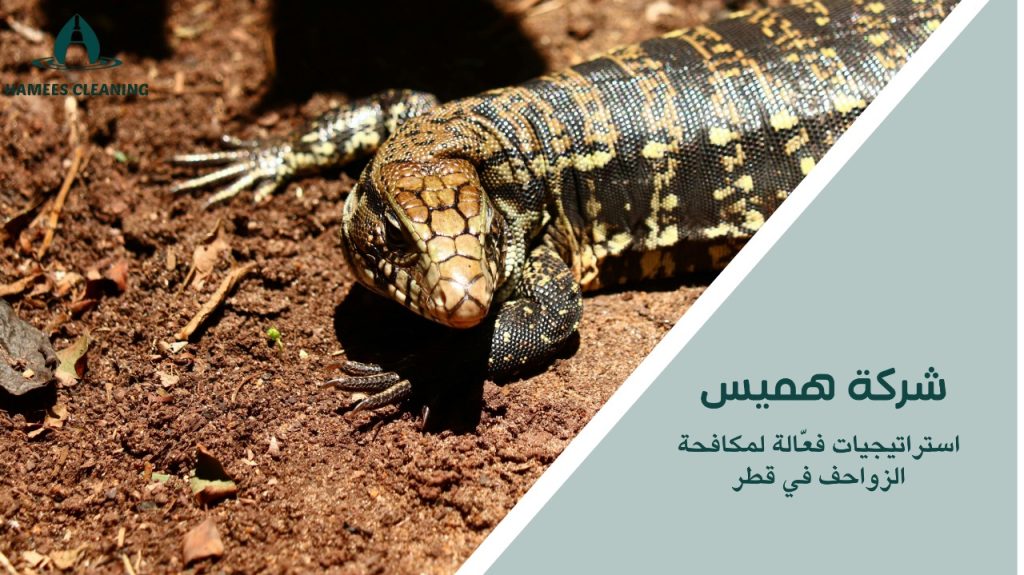 مكافحة الزواحف في قطر