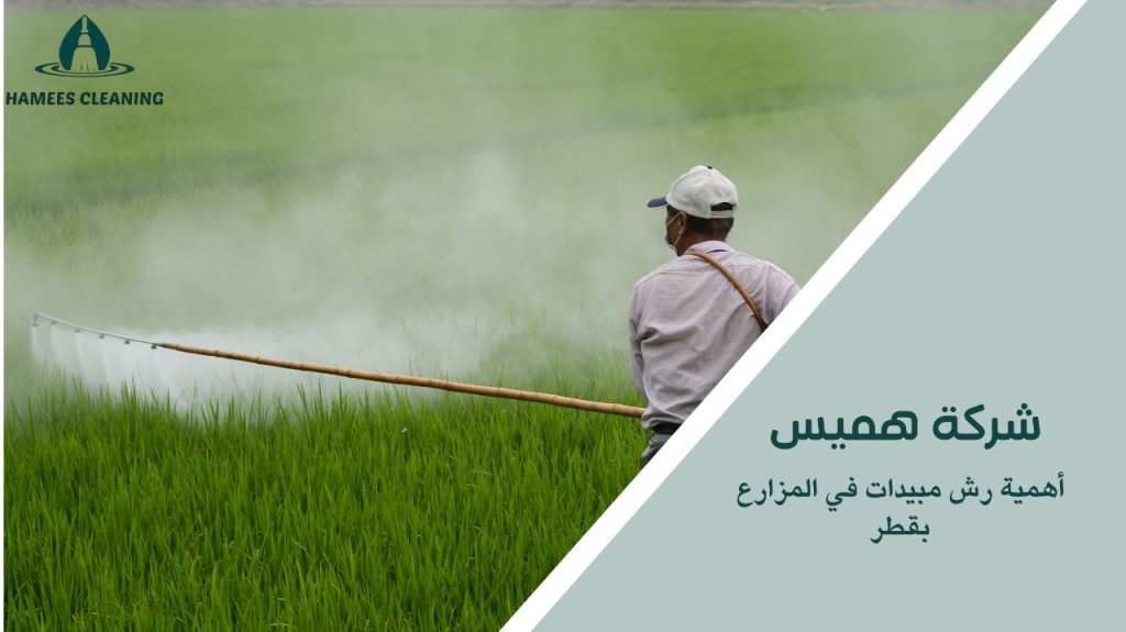 رش مبيدات في المزارع بقطر