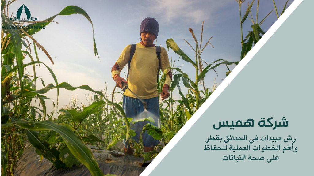 رش مبيدات في الحدائق بقطر