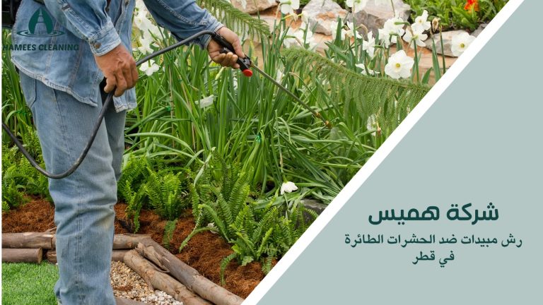 رش مبيدات ضد الحشرات الطائرة في قطر