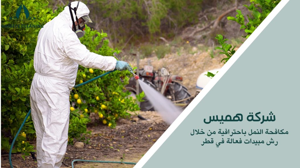 رش مبيدات ضد النمل في قطر