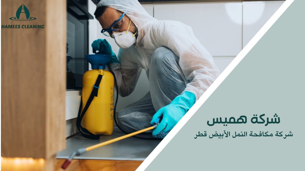 شركة مكافحة النمل الأبيض قطر