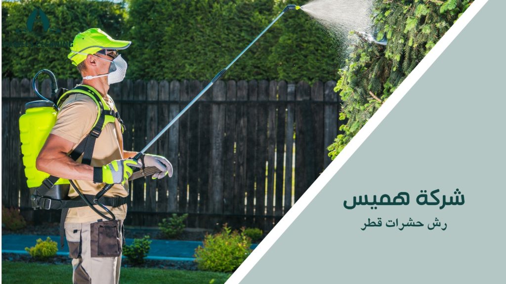 رش حشرات قطر