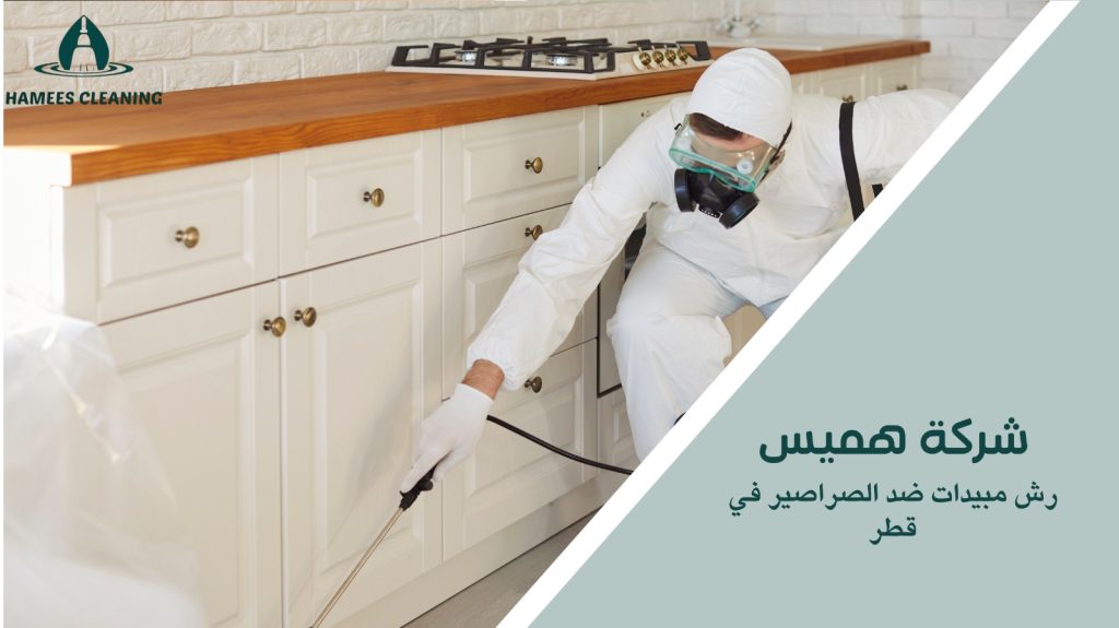 رش مبيدات ضد الصراصير في قطر