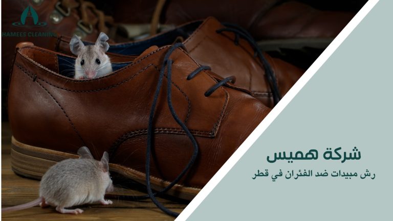 رش مبيدات ضد الفئران في قطر