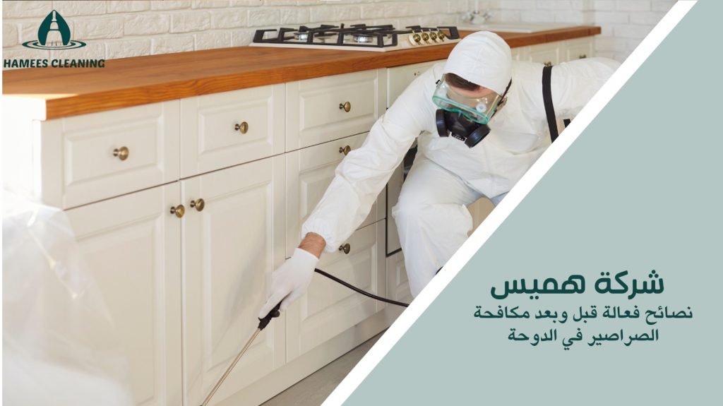 مكافحة الصراصير في الدوحة