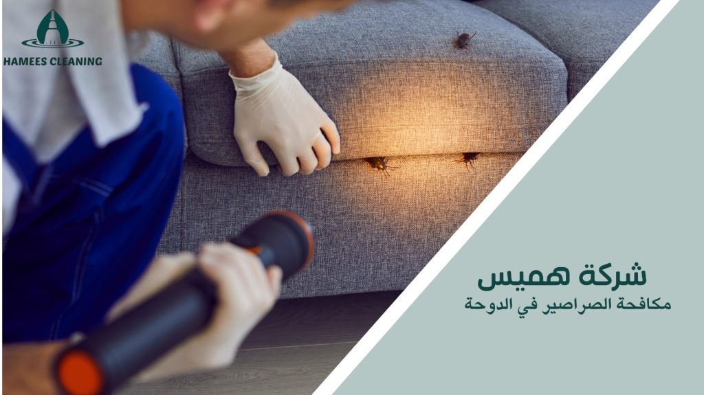مكافحة الصراصير في الدوحة