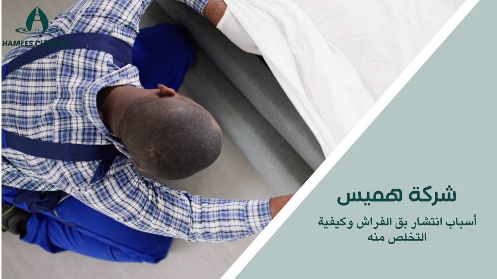 مكافحة بق الفراش في الدوحة