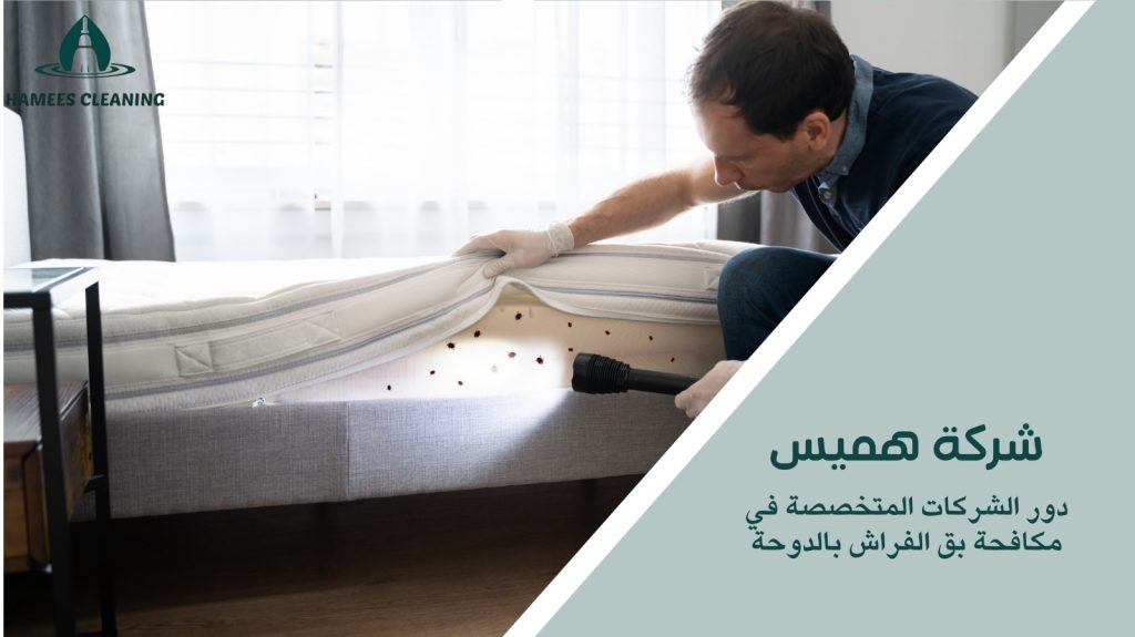 مكافحة بق الفراش في الدوحة