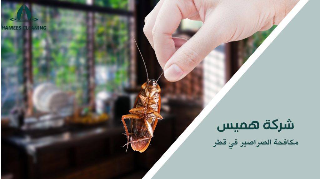 مكافحة الصراصير في قطر