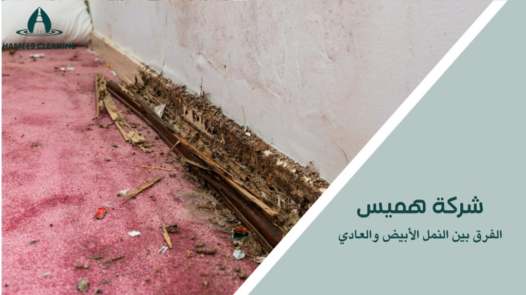  مكافحة النمل الأبيض في قطر