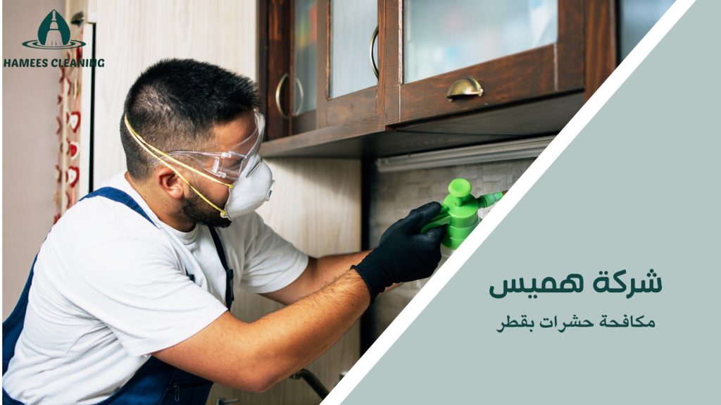 مكافحة حشرات بقطر