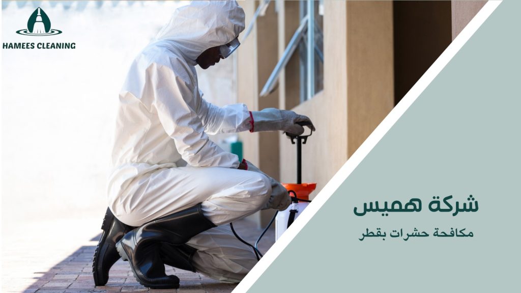 مكافحة حشرات بقطر