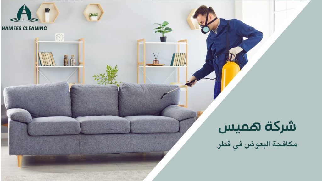 طرق حديثة للتخلص من البعوض في قطر