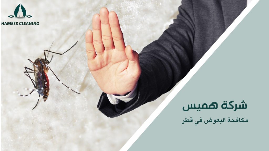 حماية عائلتك من لدغات البعوض في قطر