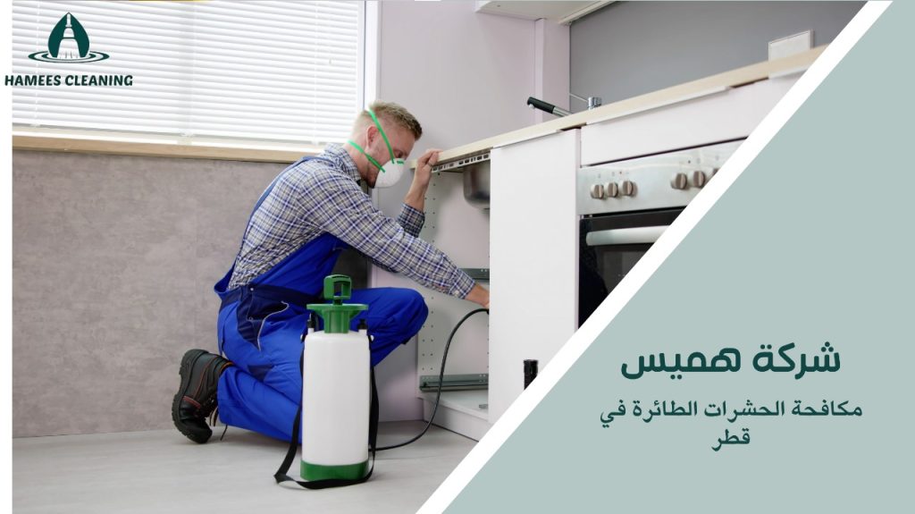 حماية منزلك من الحشرات الطائرة