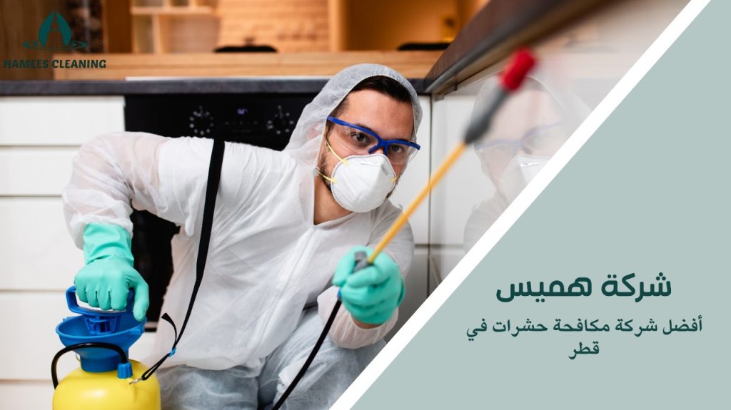 التخلص من الحشرات نهائياً في قطر