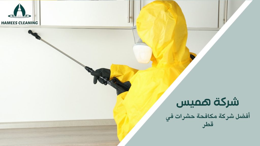 خبراء مكافحة الحشرات في قطر