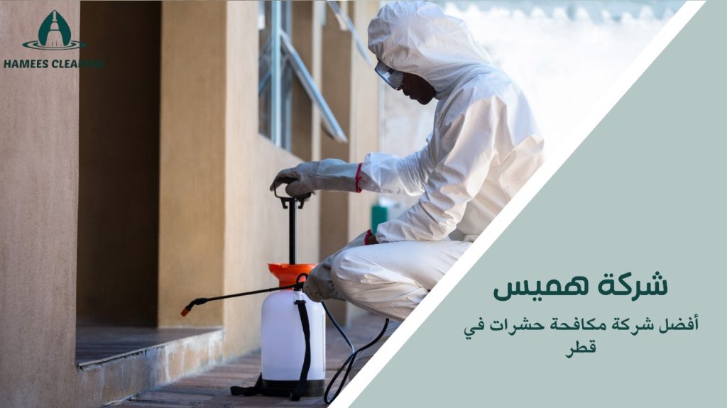 تنظيف منزلك من الحشرات مع أفضل شركة في قطر