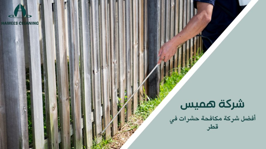 فريق متخصص في التخلص من الحشرات في قطر