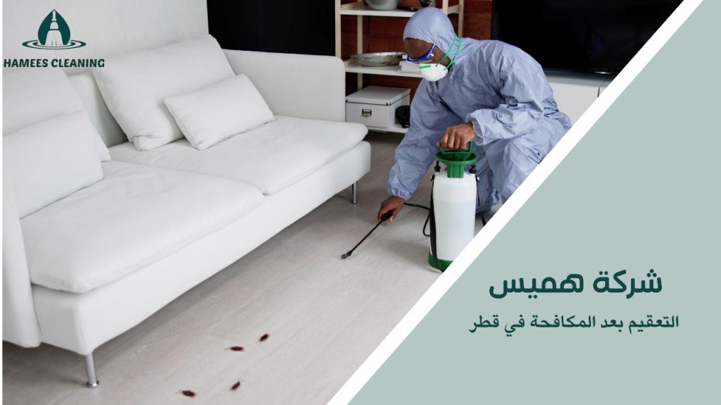 التعقيم بعد المكافحة في قطر حماية كاملة لمنزلك