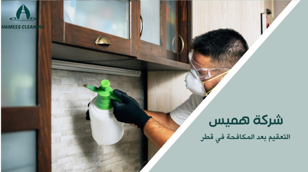 التعقيم بعد المكافحة في قطر خطوة ضرورية بعد الرش