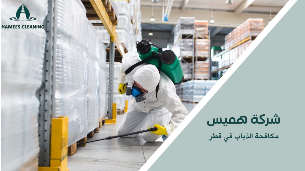 كيفية تجنب الأخطاء في مكافحة الذباب في قطر  