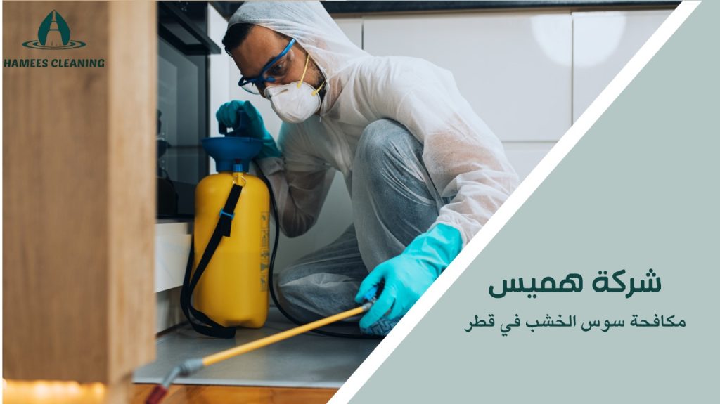 استراتيجيات مكافحة سوس الخشب في قطر