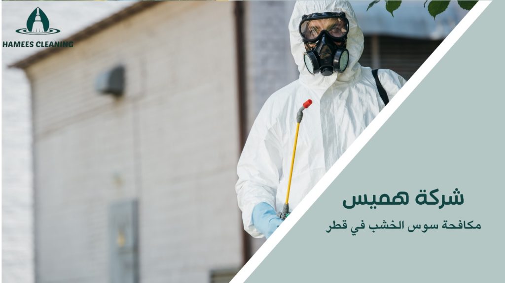 نصائح مكافحة سوس الخشب في قطر