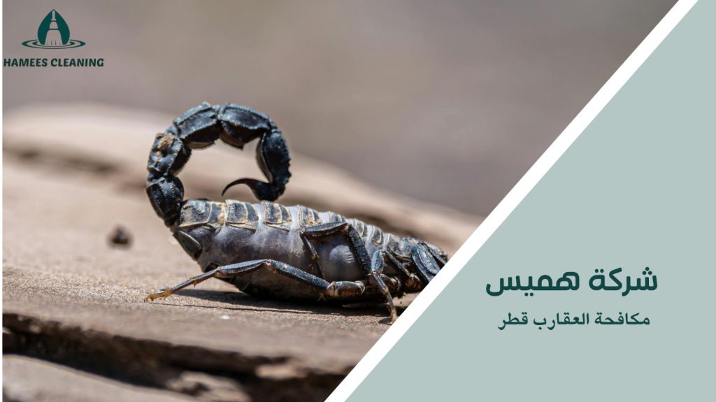 مميزات مكافحة العقارب قطر