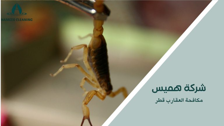 مكافحة العقارب قطر