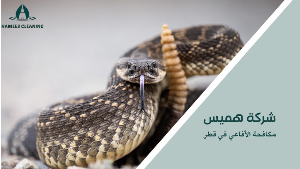 مميزات مكافحة الأفاعي في قطر