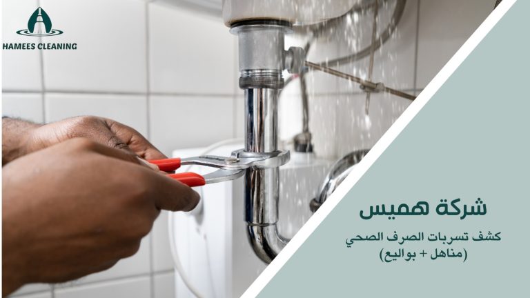 كشف تسربات الصرف الصحي في المناهل والبواليع