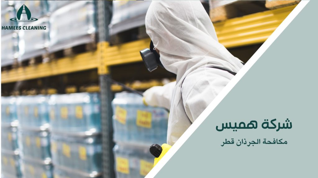 نصائح مكافحة الجرذان قطر