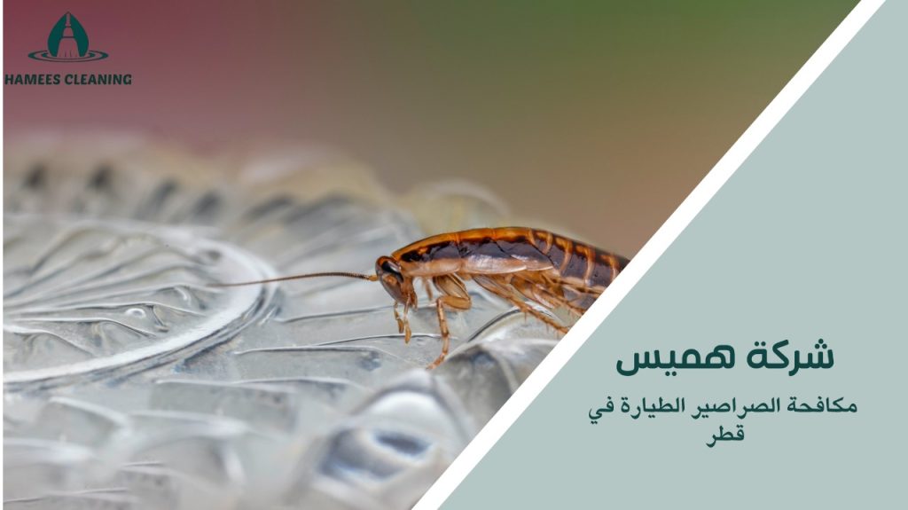 مكافحة الصراصير الطيارة في قطر