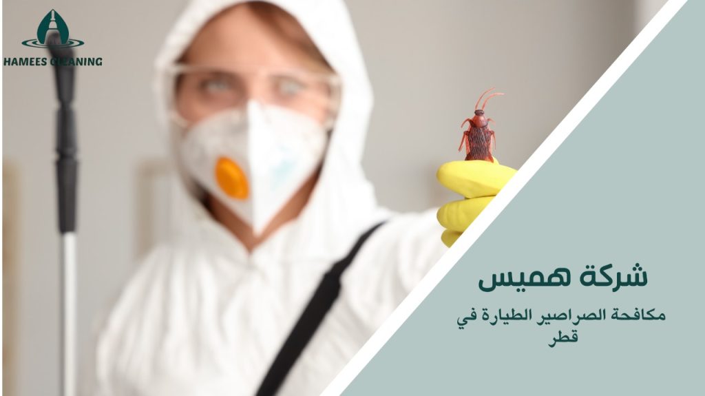 نصائح لمكافحة الصراصير الطيارة في قطر