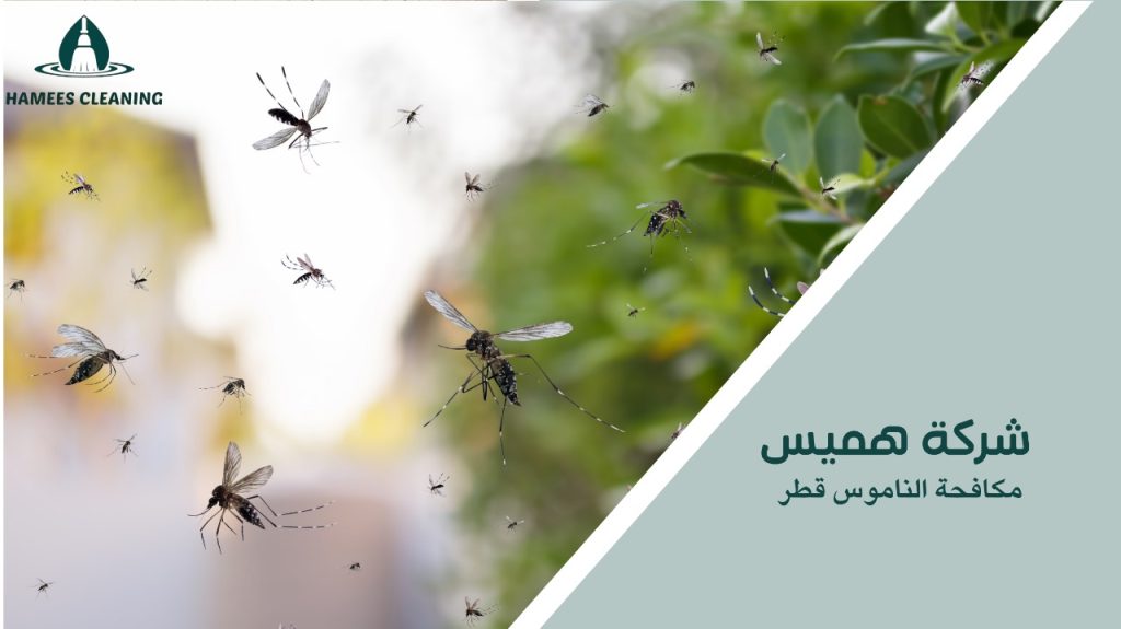 أفضل الطرق الحديثة في مكافحة الناموس قطر