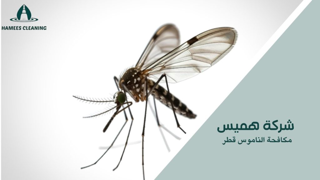 نصائح مكافحة الناموس قطر