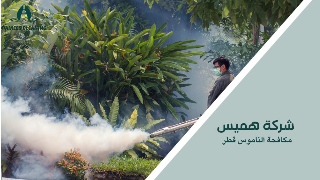 كيفية تجنب أخطاء مكافحة الناموس قطر