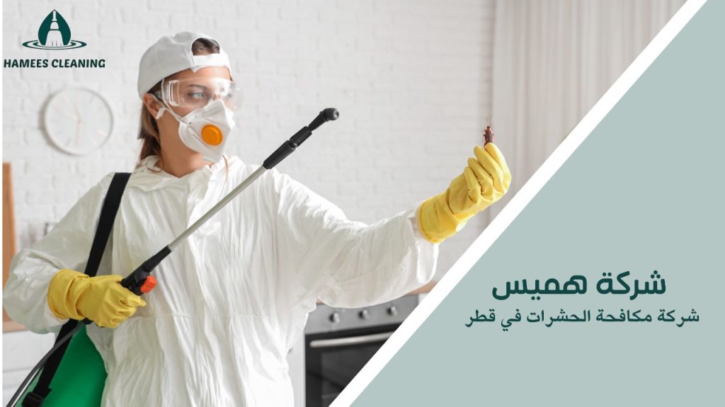 شركة مكافحة الحشرات في قطر