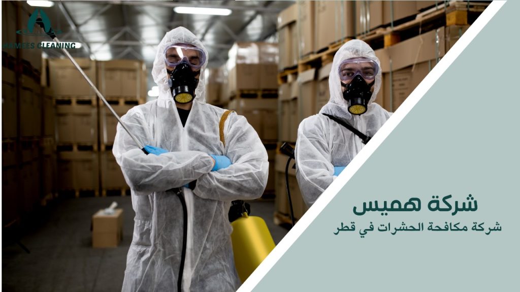 شركة مكافحة الحشرات في قطر