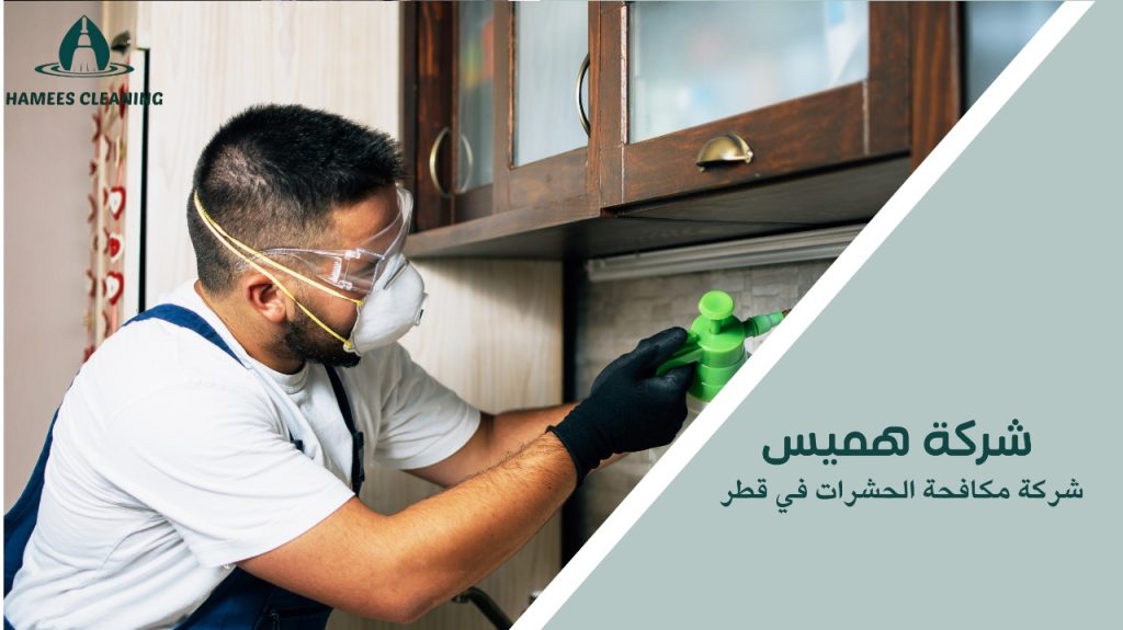 شركة مكافحة الحشرات في قطر