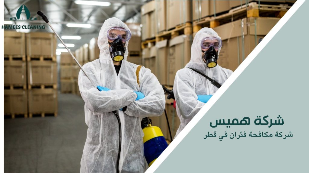 شركة مكافحة فئران في قطر
