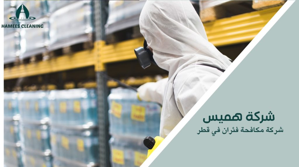 شركة مكافحة فئران في قطر