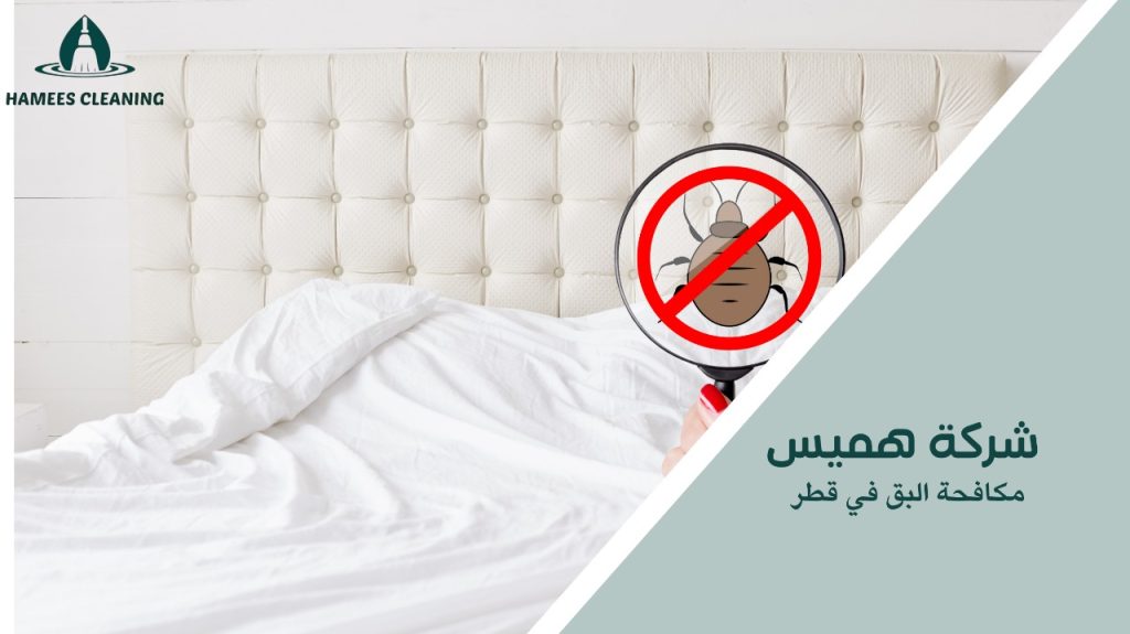 نصائح مكافحة البق في قطر