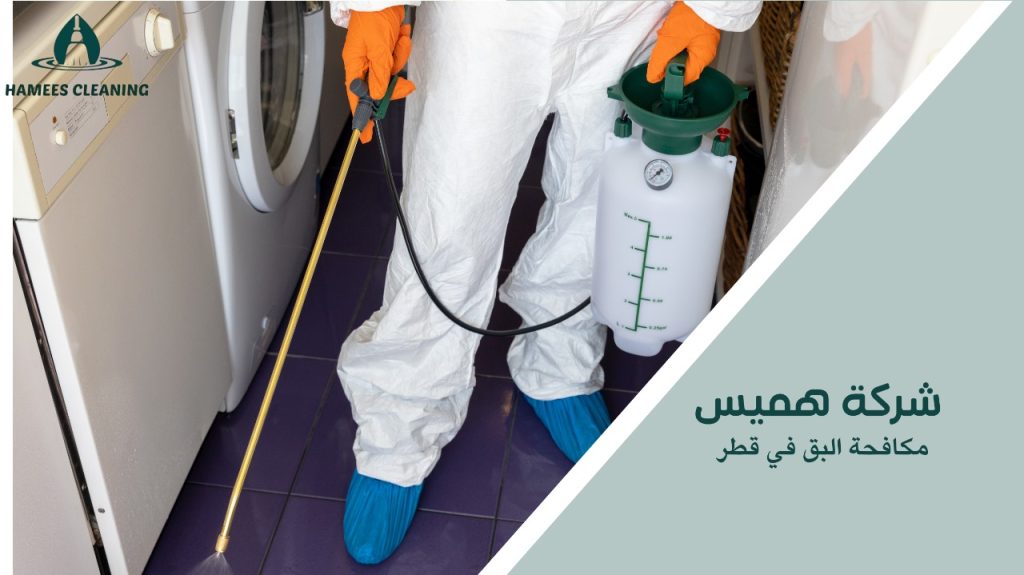 مميزات مكافحة البق في قطر